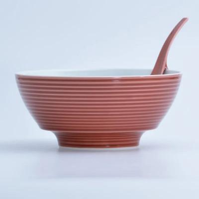 ふるさと納税 佐賀県 究極のラーメン鉢レンゲセット 赤釉千段