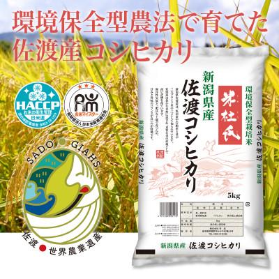 ふるさと納税 佐渡市 新潟県佐渡市 コシヒカリ 精米 5kg