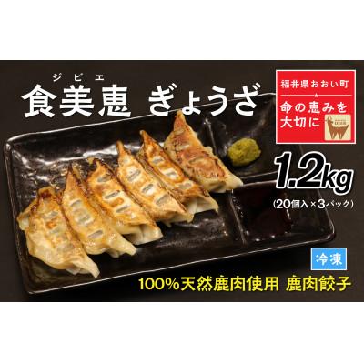 ふるさと納税 おおい町 わかさ食美恵ぎょうざ(20個入り×3パック)ジビエ[福井県おおい町]鹿肉ミンチの餃子