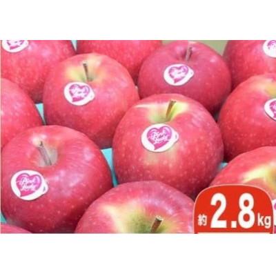 ふるさと納税 小布施町 冬春が旬の希少なりんご ピンクレディー 約2.8kg 10〜16玉