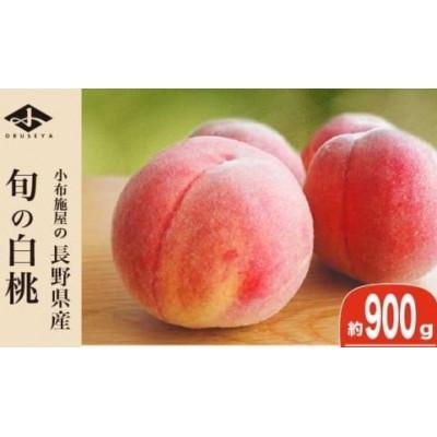 ふるさと納税 小布施町 旬の白桃 約900g 2〜4玉