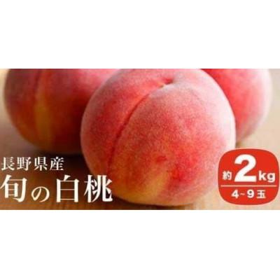 ふるさと納税 小布施町 旬の白桃 約2kg 4〜9玉
