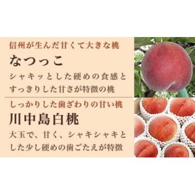 ふるさと納税 小布施町 旬の白桃 約2kg 4〜9玉の画像