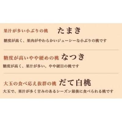 ふるさと納税 小布施町 旬の白桃 約2kg 4〜9玉の画像