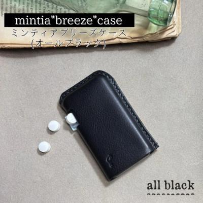 ふるさと納税 宇部市 [one][mintia breeze case]ミンティア「ブリーズ」ケース オールブラック