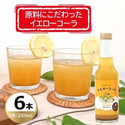 ふるさと納税 雲南市 原料にこだわった手作りイエローコーラ 250ml×6本セット