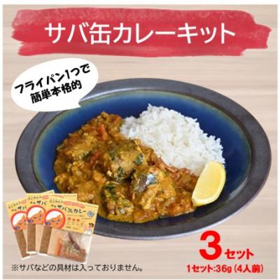 ふるさと納税 雲南市 本格的カレーキット サバ缶カレーキット(4人分) 3セット
