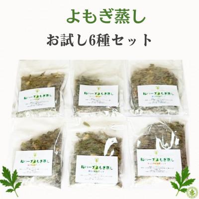 ふるさと納税 鴻巣市 和ハーブよもぎ蒸しパック全種おためしセット*よもじお*全6種各1個入り