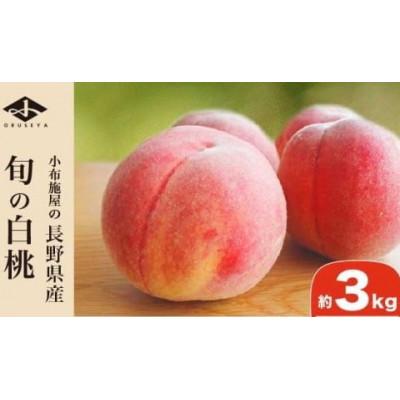 ふるさと納税 小布施町 旬の白桃 約3kg 6〜13玉