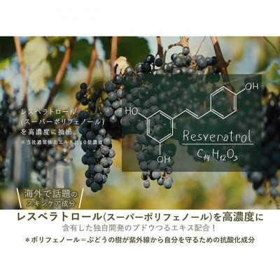 ふるさと納税 上田市 美容乳液50ml 100ml オーガニック認証エイジングケア高濃度 約6か月分 [54040502]の画像