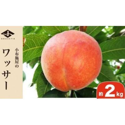 ふるさと納税 小布施町 ワッサー 約2kg 4〜9玉