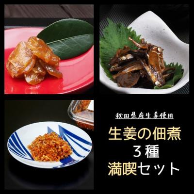 ふるさと納税 潟上市 [秋田県産生姜使用]生姜の佃煮シリーズ!3種満喫セット