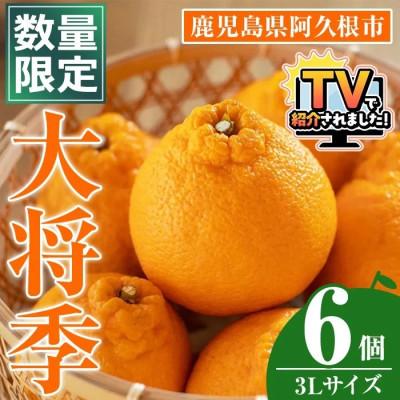 ふるさと納税 阿久根市 数量限定! 大将季 [テレビで紹介されました! ](6個・3Lサイズ)[イロドリ]akn069-07