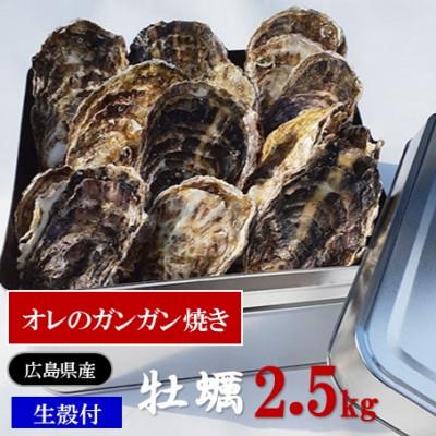ふるさと納税 大竹市 アミスイの牡蠣 オレのガンガン焼き(生殻付) 2.5kg
