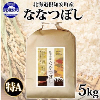 ふるさと納税 倶知安町 北海道 倶知安町産 ななつぼし 精米 5kg 数量限定 [2026年3月出荷]