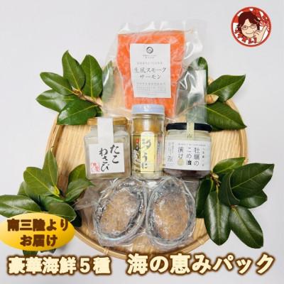 ふるさと納税 南三陸町 海鮮詰め合わせ 豪華・海の恵みパック 5種×各1パック