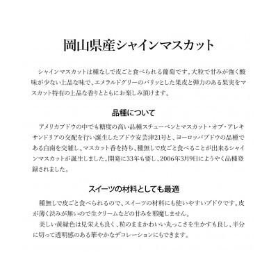 ふるさと納税 井原市 【先行受付/訳あり】岡山県産シャインマスカット約1.0kg(2〜3房) |  | 01