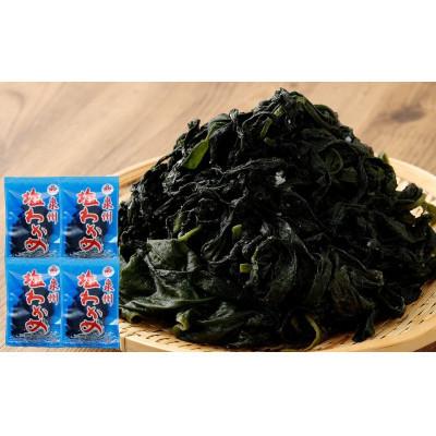 ふるさと納税 阪南市 [2026年7月11日より順次発送]大阪産「塩わかめ」100g×4袋[お中元にオススメ]