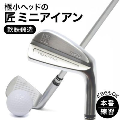 ふるさと納税 市川町 匠ミニアイアン「極小ミニヘッド」 035BF01N.