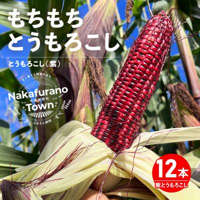 ふるさと納税 中富良野町 AW-010[2026年8月下旬〜9月中旬発送]もちもちトウモロコシ紫 12本 中富良野産