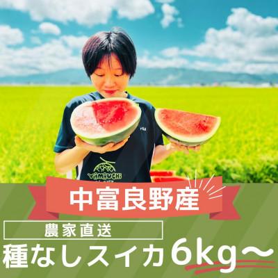 ふるさと納税 中富良野町 AW-012[2026年7月下旬〜8月下旬発送予定]種なしスイカ 1玉(6kg〜)