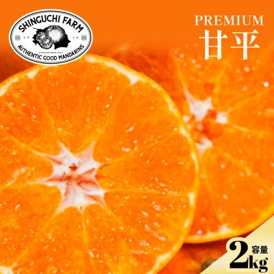 ふるさと納税 八幡浜市 [贈答用]五代目が厳選した「完熟甘平」2kg[D70-159]
