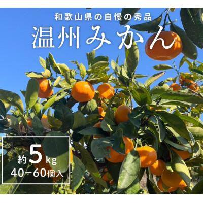 ふるさと納税 和歌山市 温州みかん先行予約!和歌山県産ミカン約5kg(40個〜60個入)秀品 味に自信あり!こだわり農家厳選
