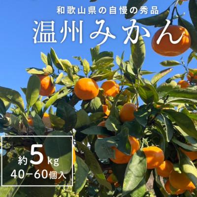 ふるさと納税 美浜町 温州みかん先行予約!和歌山県産ミカン約5kg(40個〜60個入)秀品 味に自信あり!こだわり農家厳選