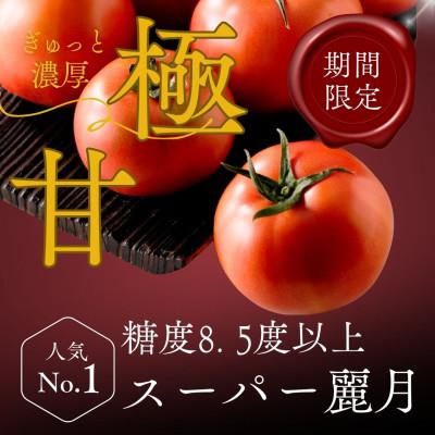 ふるさと納税 美里町 [糖度8.5度以上]極甘スーパー麗月 1kg(期間・数量限定)