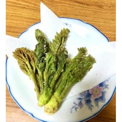 ふるさと納税 岩泉町 春の山菜　タラの芽(100g×2パック) |  | 01