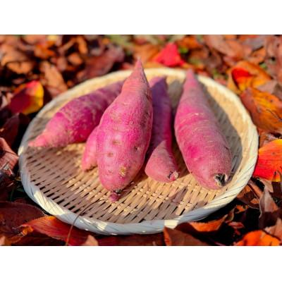 ふるさと納税 南砺市 紅はるか(さつまいも) 5KG