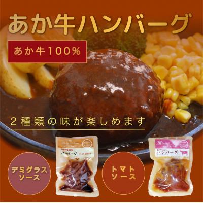 ふるさと納税 南阿蘇村 あか牛ハンバーグ6個セット(2種)