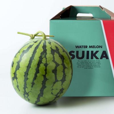 ふるさと納税 富良野市 富良野産 鳳凰スイカ 秀品1玉(3kg)