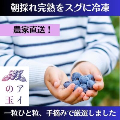 ふるさと納税 小美玉市 [アイの玉] 冷凍ブルーベリー 1kg