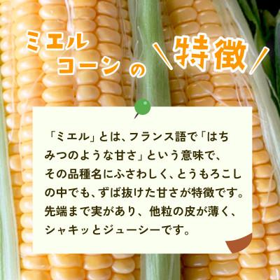 ふるさと納税 下妻市 【訳あり】下妻産朝採りとうもろこし(ミエルコーン)約6kg 約15-20本入り 6月下旬から7月発送 |  | 01