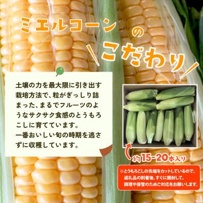 ふるさと納税 下妻市 【訳あり】下妻産朝採りとうもろこし(ミエルコーン)約6kg 約15-20本入り 6月下旬から7月発送 |  | 02