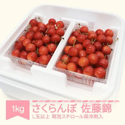 ふるさと納税 村山市 [令和8年産]さくらんぼ 佐藤錦 1kg(500g×2) L玉以上