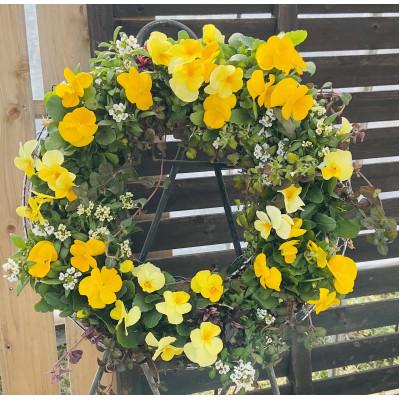 ふるさと納税 上郡町 季節のお花の寄せ植えリース35センチ