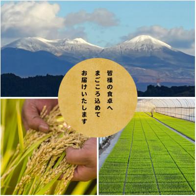 ふるさと納税 青森市 【先行予約受付】令和8年　青森県産まっしぐら　玄米30kg　彩北米_2