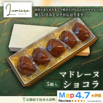 ふるさと納税 宇治市 ショコラマドレーヌ 1箱5個入り
