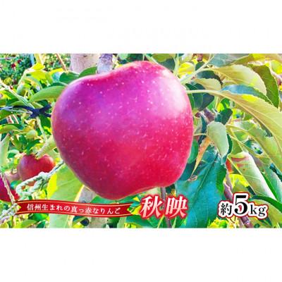 ふるさと納税 上田市 [2026年産]りんご 秋映 約5kg