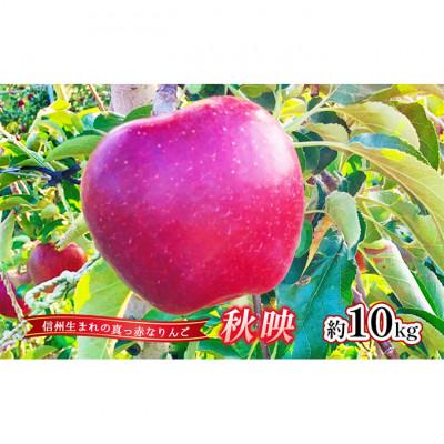 ふるさと納税 上田市 [2026年産]りんご 秋映 約10kg