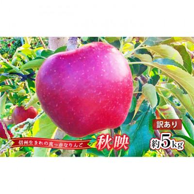 ふるさと納税 上田市 [2026年産]訳あり りんご 秋映 約5kg