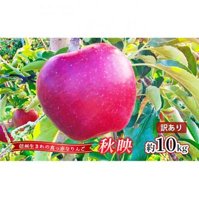ふるさと納税 上田市 [2026年産]訳あり りんご 秋映 約10kg