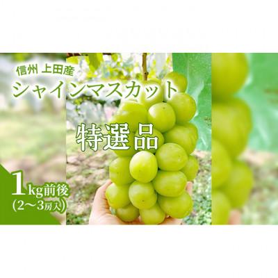 ふるさと納税 上田市 [2026年産]信州上田産 特選 シャインマスカット 1kg前後 2〜3房