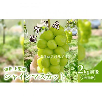 ふるさと納税 上田市 [2026年産]訳あり シャインマスカット 2kg前後 5房前後