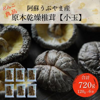 ふるさと納税 産山村 阿蘇うぶやま産 原木乾燥椎茸[小玉]どんこ良品(120g×6袋)