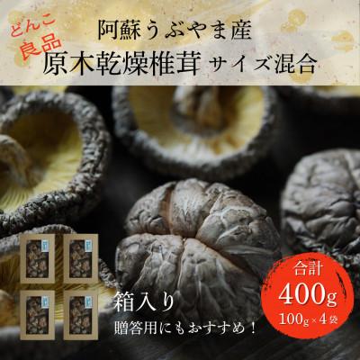 ふるさと納税 産山村 阿蘇うぶやま産 原木乾燥椎茸 箱入り贈答用 どんこ良品(100g小箱入×4袋)