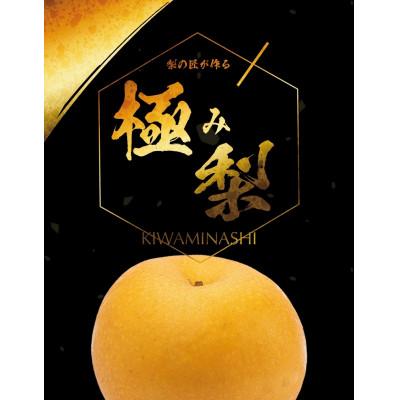 ふるさと納税 豊田市 樹上完熟[幸水梨][あきづき梨]大玉12〜14玉入り(8月下旬より順次発送)