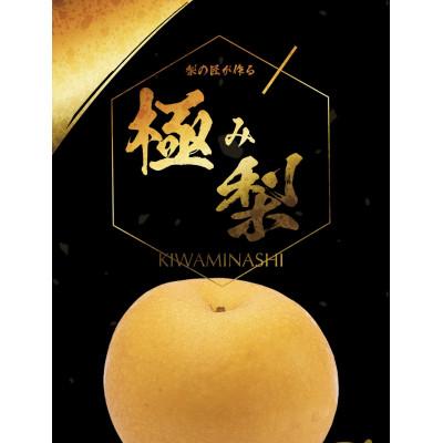 ふるさと納税 豊田市 樹上完熟[幸水梨][あきづき梨]大玉7〜8玉入り(8月下旬より順次発送)